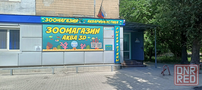 Рыбки аквариумные Донецк - изображение 1