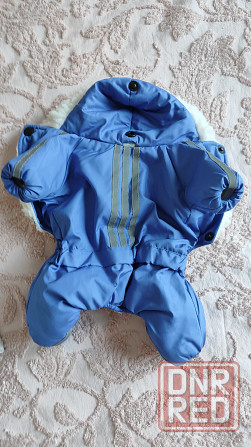 Комбинезон зимний для собак Донецк - изображение 1