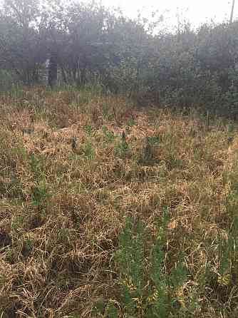 Продам земельный участок 10 соток под строительство дома в Ленинском районе Донецка Донецк