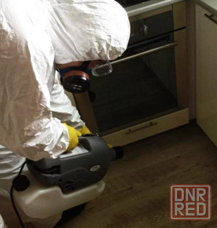 Дезинфекция. Уничтожение клопов тараканов Донецк - изображение 2