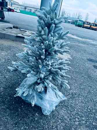 Ель новогодняя Донецк