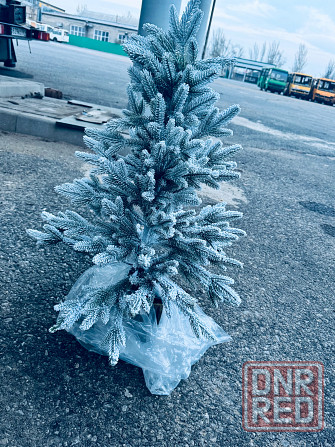 Ель новогодняя Донецк - изображение 1
