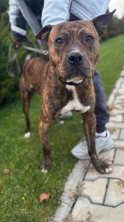 Ищем дом! Срочно! Донецк