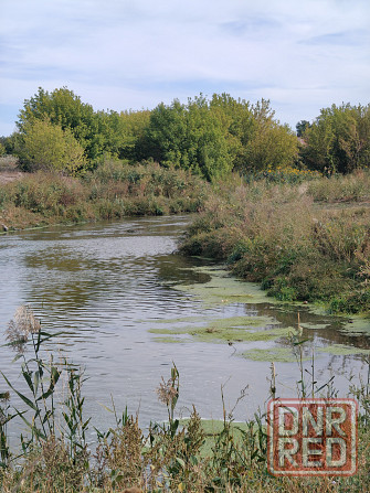 Дачный участок Старобешево - изображение 6