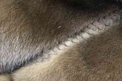 Ателье в Донецке. Профессиональный пошив шубы. Переделка ремонт химчистка в днр Донецк