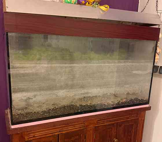 Аквариум Мариуполь