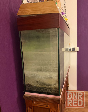 Аквариум Мариуполь - изображение 2