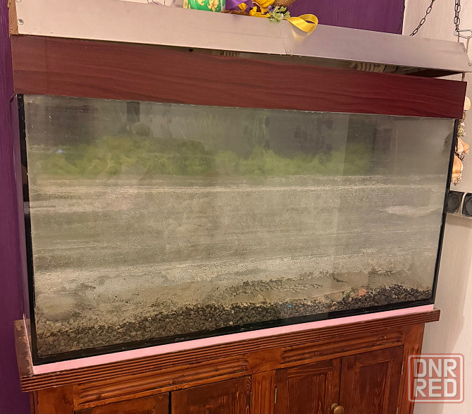 Аквариум Мариуполь - изображение 4