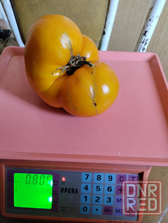 Семена помидор (томаты) Мариуполь - изображение 1