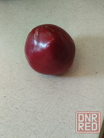 Семена перец сладкий Гогошар Мариуполь - изображение 3