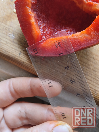 Семена перец сладкий Гогошар Мариуполь - изображение 4