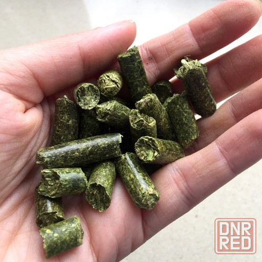 Куплю люцерну в гранулах Макеевка - изображение 1