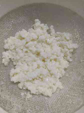 Тибетский молочный кефирный гриб Мариуполь