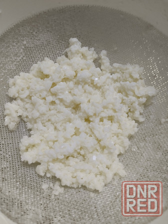 Тибетский молочный кефирный гриб Мариуполь - изображение 1