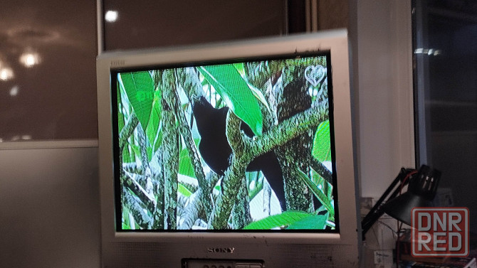 SONY 21'' в рабочем состоянии и пульт имеется Донецк - изображение 2