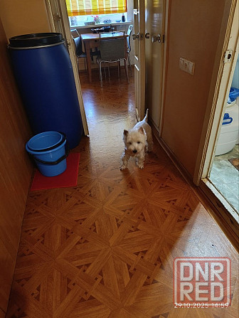 3к Батищева, Маяк Донецк - изображение 7