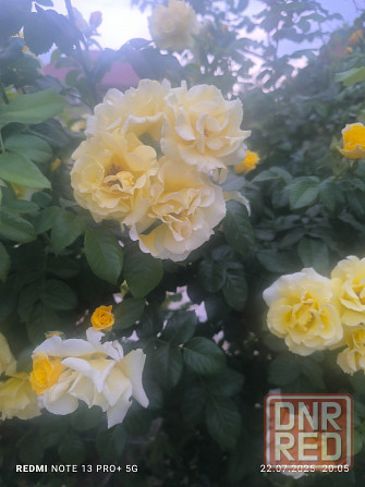 Продам дом с газом Текстильщик Донецк - изображение 4