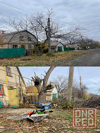 Спил деревьев, кронирование Снежное - изображение 1
