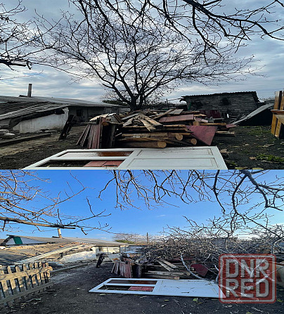 Спил деревьев, кронирование Снежное - изображение 2