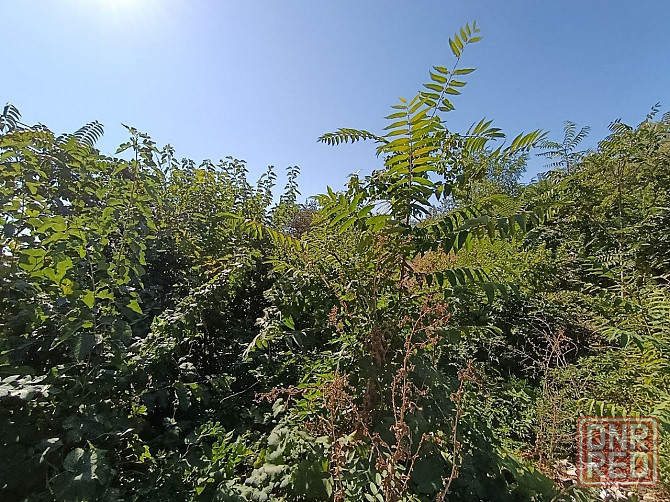 Продается участок в Центральном районе города Мариуполь - изображение 4