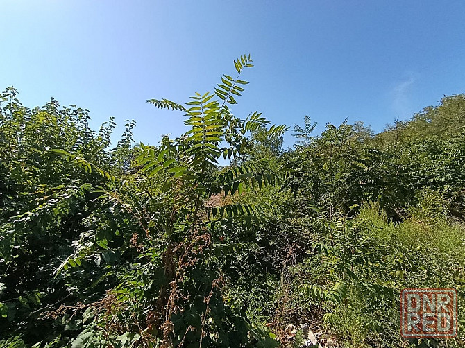 Продается участок в Центральном районе города Мариуполь - изображение 7