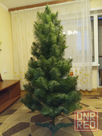 Новый год Донецк - изображение 1