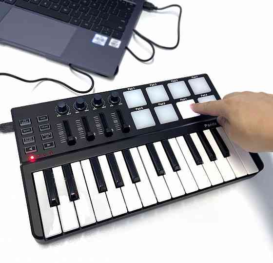MIDI-контроллер LAudio PandaminiC, миди-клавиатура USB Донецк