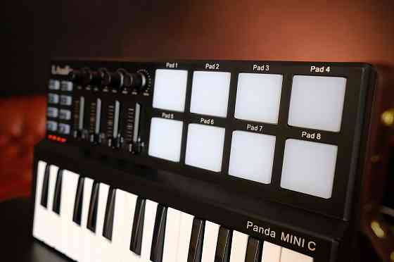 MIDI-контроллер LAudio PandaminiC, миди-клавиатура USB Донецк