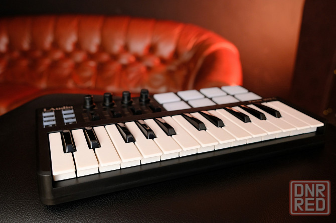 MIDI-контроллер LAudio PandaminiC, миди-клавиатура USB Донецк - изображение 4