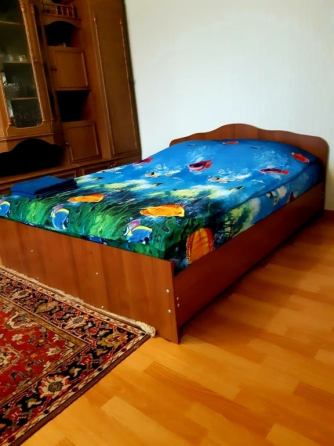 однокомнатная квартира на Бакинских Донецк