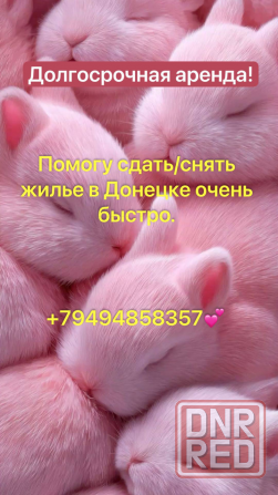 Помогу сдать/снять жилье быстро Донецк - изображение 1