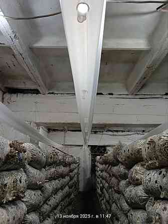 Аренда Готового Грибного Бизнеса, 360м.кв., под Ключ, ул.Баумана Донецк