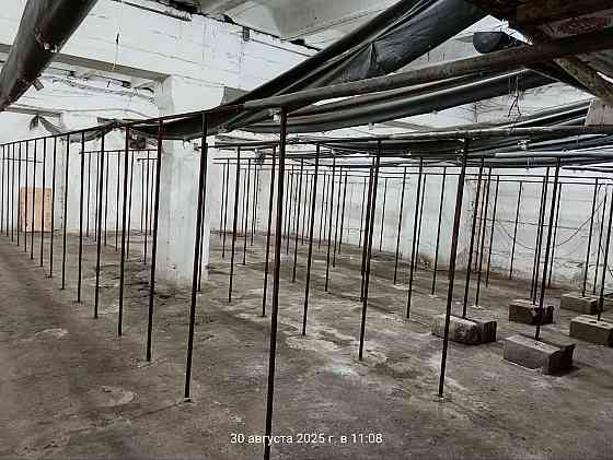 Аренда Готового Грибного Бизнеса, 360м.кв., под Ключ, ул.Баумана Донецк