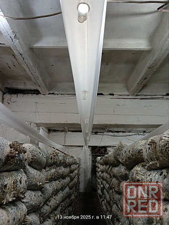 Аренда Готового Грибного Бизнеса, 360м.кв., под Ключ, ул.Баумана Донецк - изображение 2