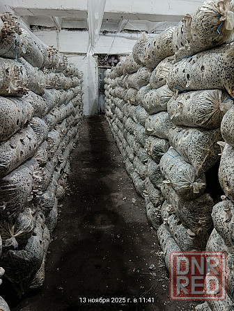 Аренда Готового Грибного Бизнеса, 360м.кв., под Ключ, ул.Баумана Донецк - изображение 1