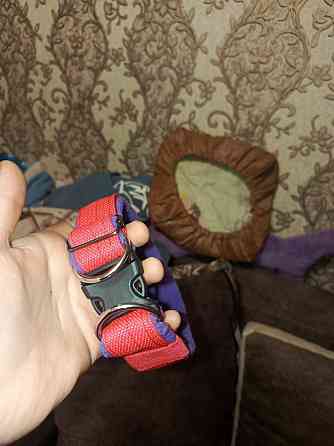 Ошейники и шлейки ручьной роботы Макеевка