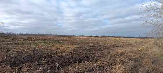 Продам ферму ЛпХ 3.6 гектар земли, ангары, хлев... Колодцы, скважины с водой! Пригород Донецка! Донецк