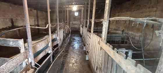 Продам ферму ЛпХ 3.6 гектар земли, ангары, хлев... Колодцы, скважины с водой! Пригород Донецка! Донецк