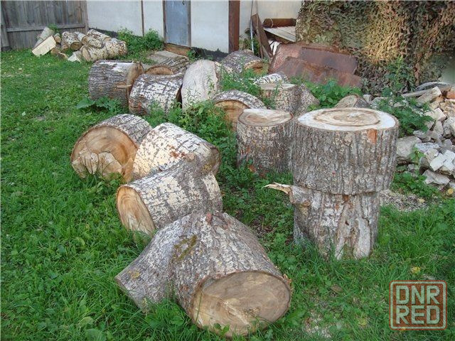 Дрова Луганск бесплатно самовывоз Луганск - изображение 1