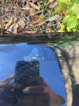 Продам крыло субару форестер Донецк