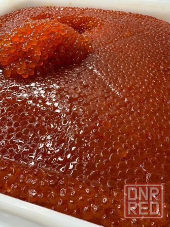 Икра Камчатка Краснодар - изображение 4