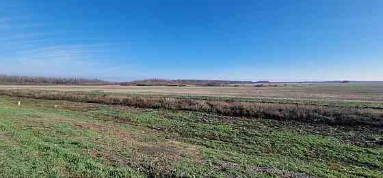 Земельный пай 7,35га,Ленинский р-н,Донецк Донецк