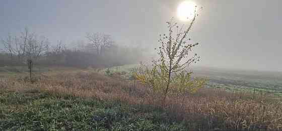 Земельный пай 22 гектара ,Ленинский р-н, Донецк Донецк