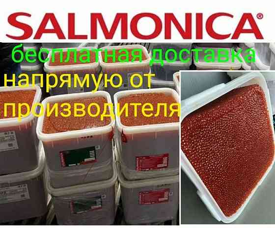 Красная икра оптом от 4950 за кг. Донецк