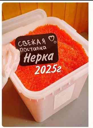 Красная икра оптом от 4950 за кг. Донецк