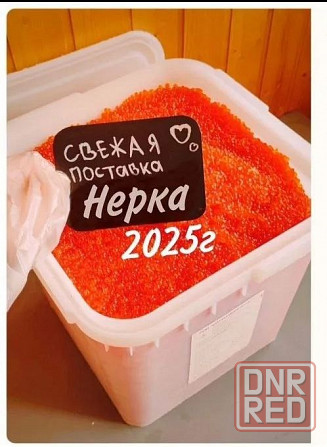 Красная икра оптом от 4950 за кг. Донецк - изображение 1