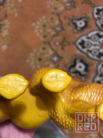 Верблюд целлулоид времён Союза Донецк - изображение 7