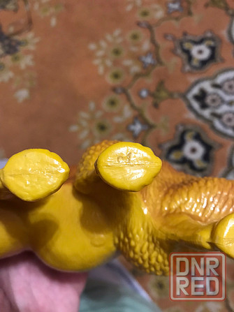 Верблюд целлулоид времён Союза Донецк - изображение 8