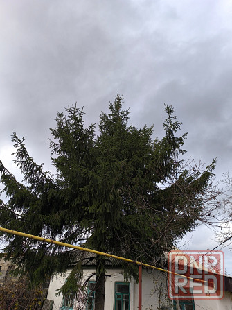 Ёлка на новый год Донецк - изображение 5