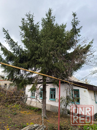 Ёлка на новый год Донецк - изображение 6